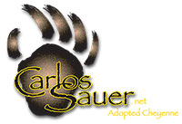 Carlos Sauer