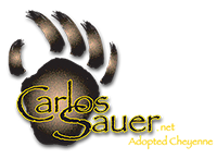 logo carlos sauer